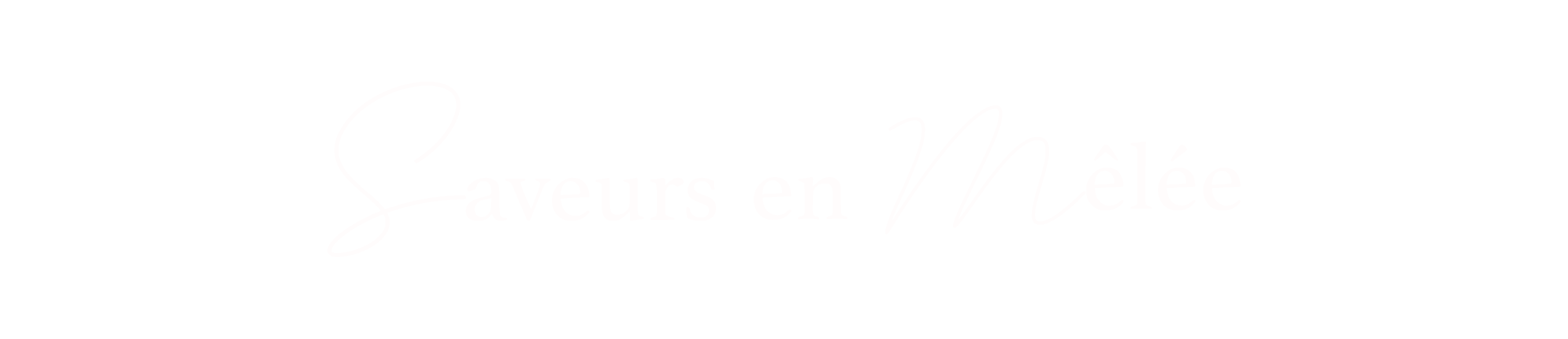 Logo Saveurs en Mêlée